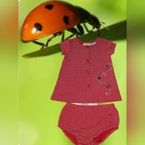Summer 2 piece Ladybug 🐞 Dress Set